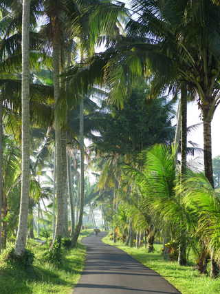 Reseguide om Bali