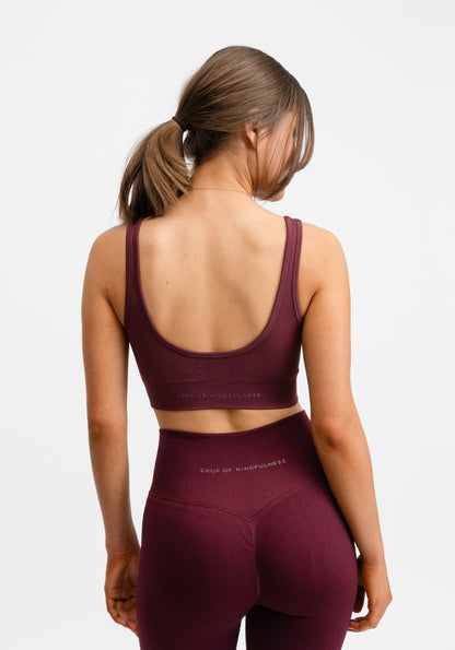 Seamless Deep V Sports Bra Redwood
