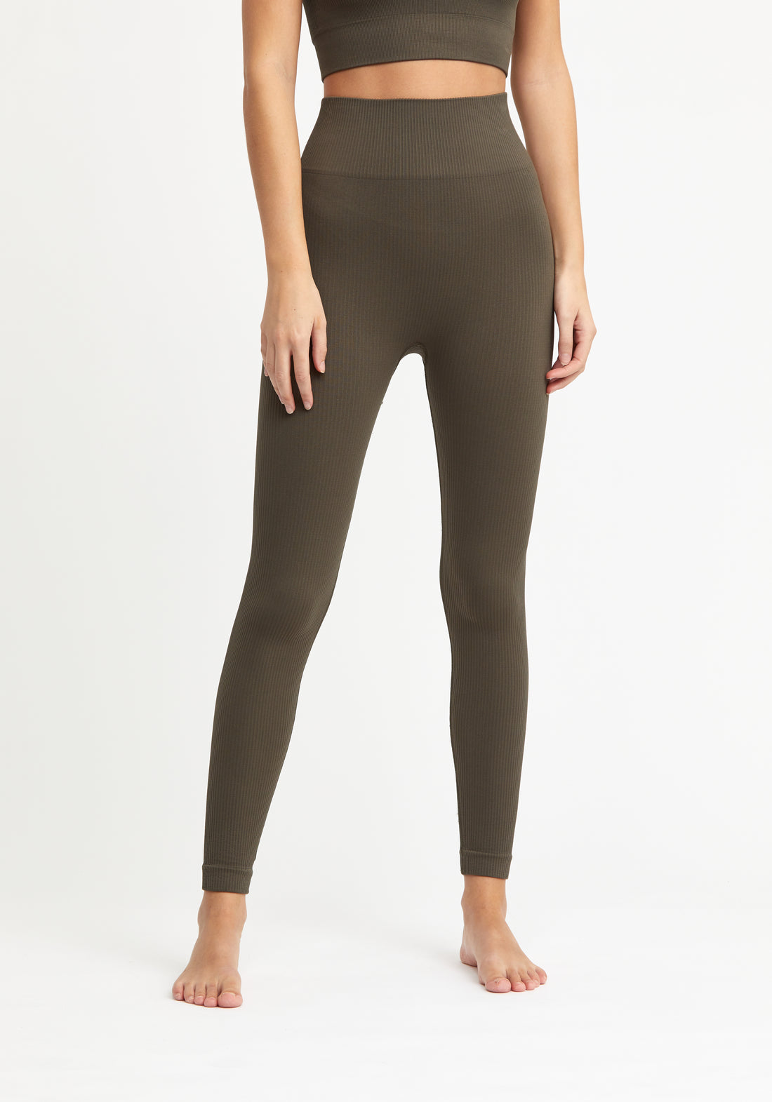 Molly Tights Ribbed Seamless Olive Oil